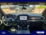 2025 F-150 Thumbnail 17