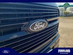 2025 F-150 Thumbnail 20