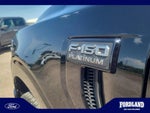 2025 F-150 Thumbnail 21