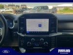 2025 F-150 Thumbnail 12