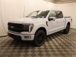 2025 F-150 Thumbnail 11