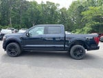 2025 F-150 Thumbnail 2