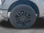 2025 F-150 Thumbnail 11