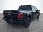 2025 F-150 Thumbnail 5
