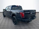 2025 F-150 Thumbnail 7