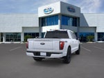 2025 F-150 Thumbnail 8