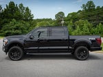 2025 F-150 Thumbnail 14