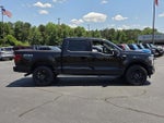2025 F-150 Thumbnail 12