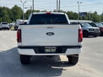 2024 F-150 Thumbnail 4