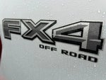 2025 F-150 Thumbnail 32