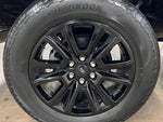 2024 F-150 Thumbnail 8