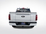 2024 F-150 Thumbnail 15