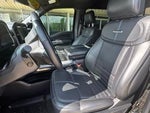 2025 F-150 Thumbnail 11