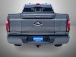 2024 F-150 Thumbnail 6