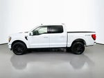 2025 F-150 Thumbnail 4