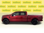 2025 F-150 Thumbnail 13