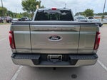 2025 F-150 Thumbnail 4