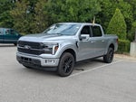 2025 F-150 Thumbnail 7