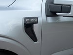 2025 F-150 Thumbnail 11