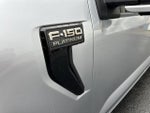 2025 F-150 Thumbnail 10