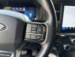 2025 F-150 Thumbnail 21
