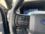 2025 F-150 Thumbnail 22