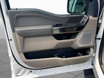 2024 F-150 Thumbnail 21