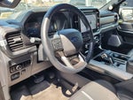 2025 F-150 Thumbnail 12