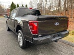 2024 F-150 Thumbnail 6