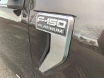 2024 F-150 Thumbnail 13