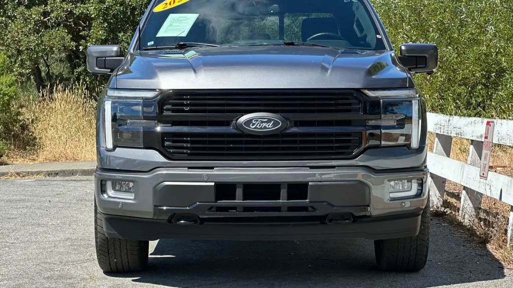 2024 Ford F-150 Platinum