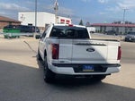 2024 F-150 Thumbnail 8