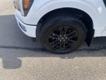 2024 F-150 Thumbnail 10