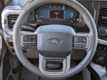 2025 F-150 Thumbnail 11