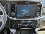 2025 F-150 Thumbnail 12