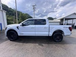 2025 F-150 Thumbnail 4