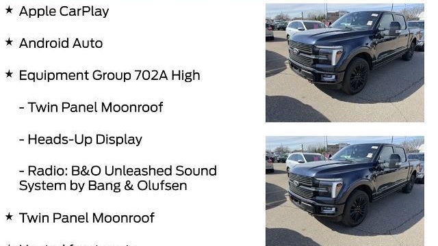 2025 Ford F-150 Platinum