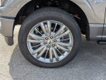 2025 F-150 Thumbnail 6