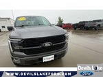 2024 F-150 Thumbnail 4