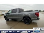 2024 F-150 Thumbnail 8