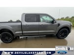 2024 F-150 Thumbnail 11