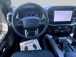 2025 F-150 Thumbnail 6