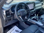 2025 F-150 Thumbnail 18