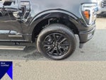 2025 F-150 Thumbnail 10