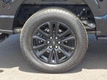 2025 F-150 Thumbnail 8