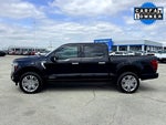 2026 F-150 Thumbnail 10