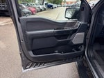 2025 F-150 Thumbnail 18