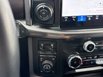 2025 F-150 Thumbnail 28