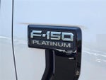 2025 F-150 Thumbnail 8
