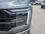 2025 F-150 Thumbnail 10